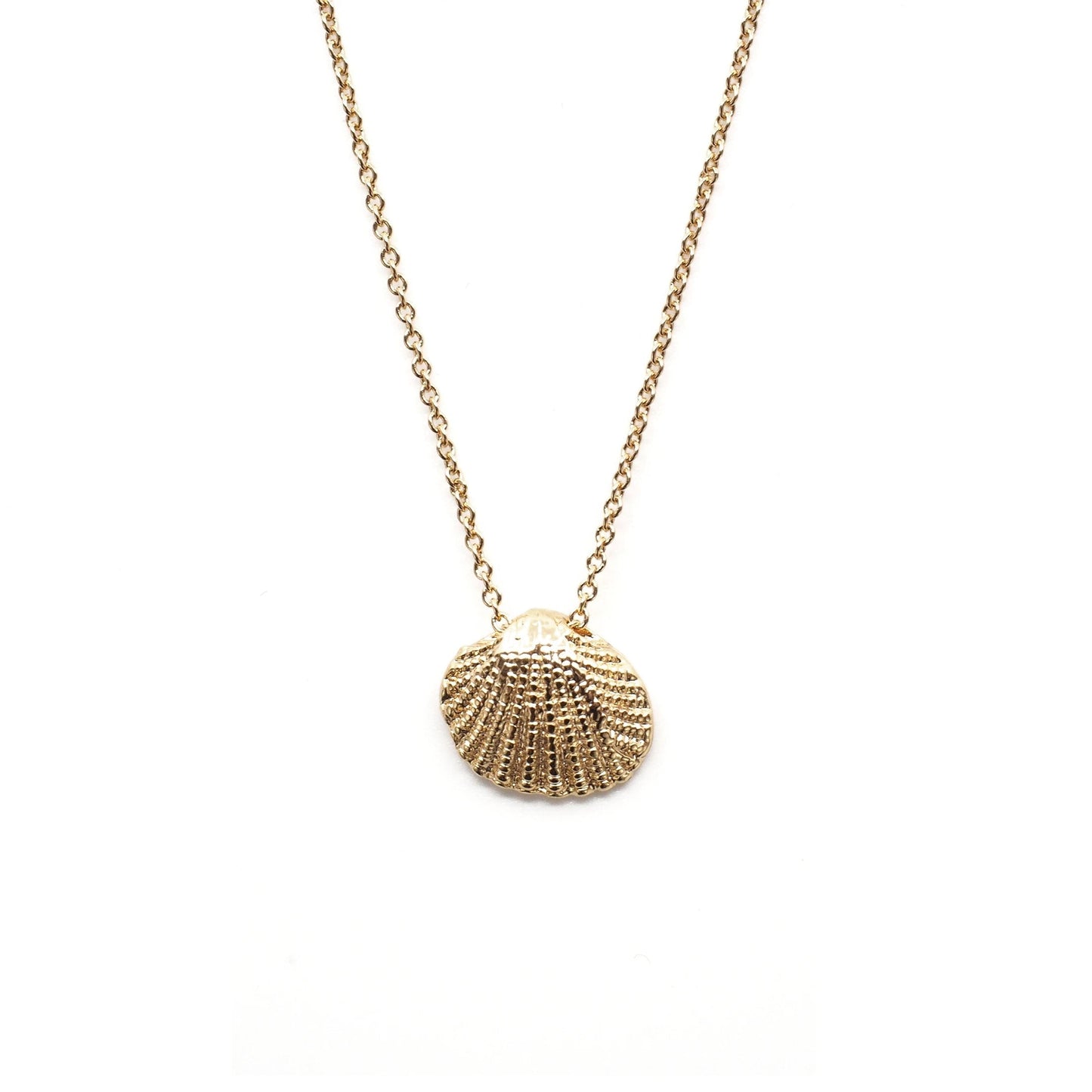 Maui Shell Necklace