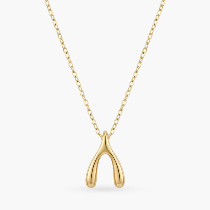 Make A Wish Necklace