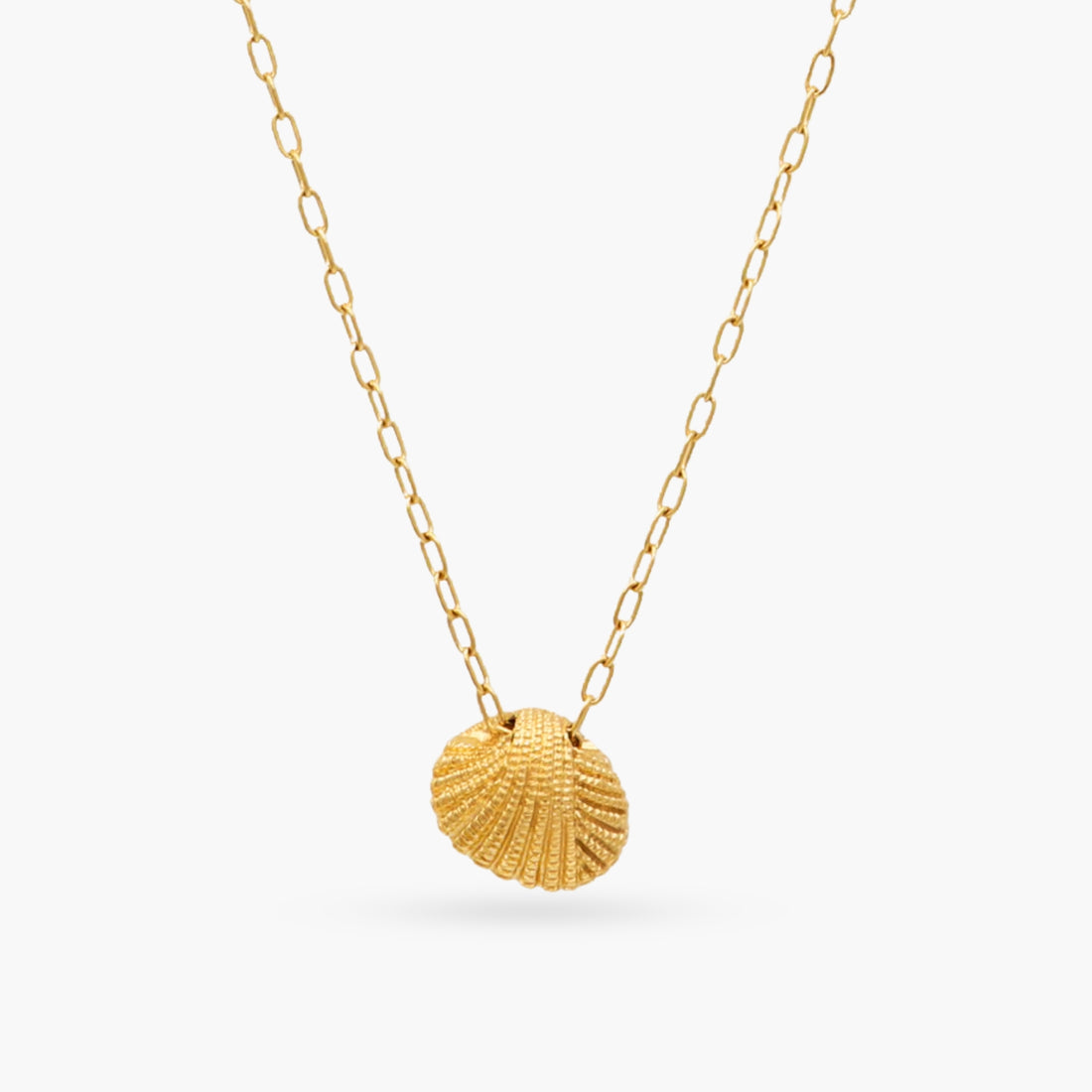 Maui Shell Necklace