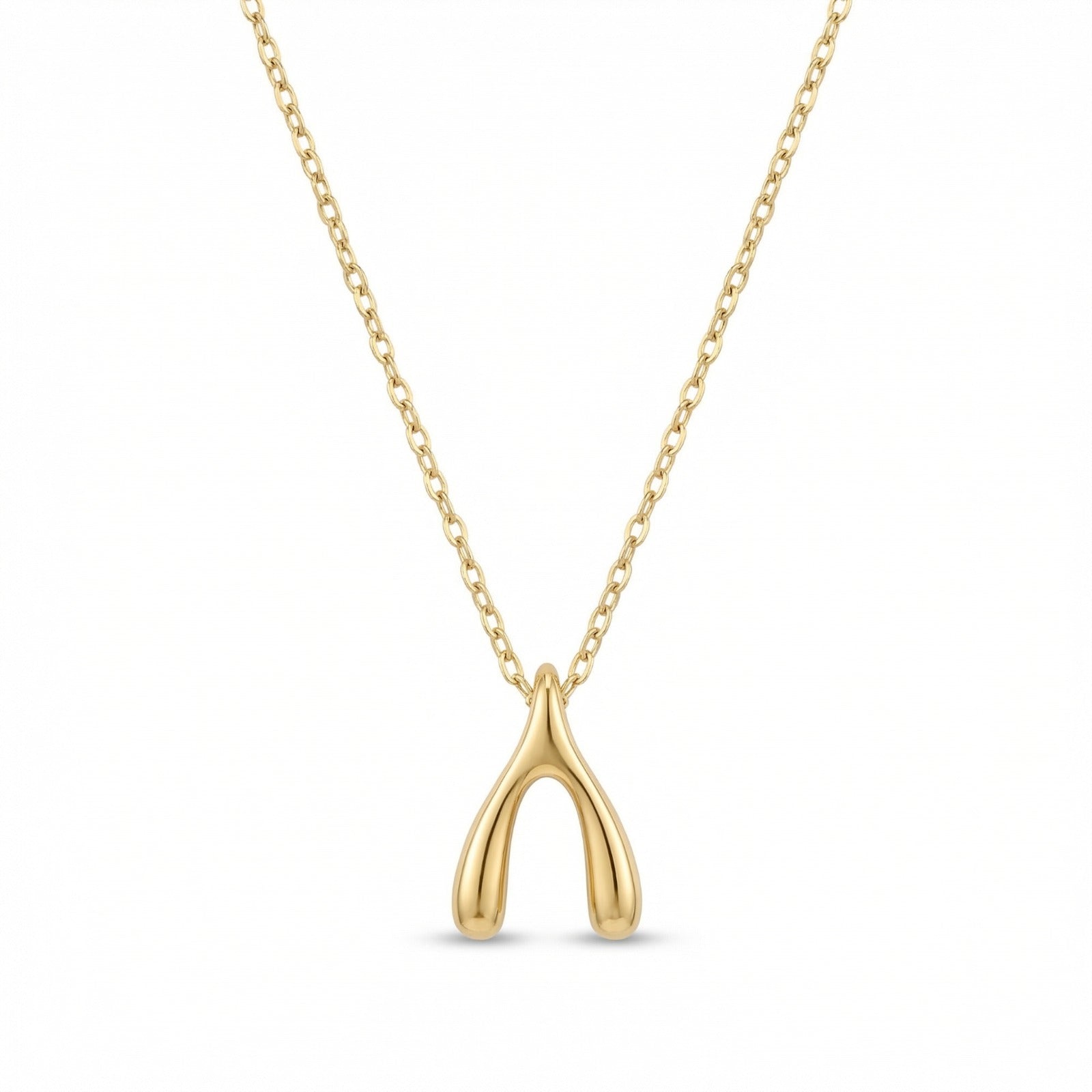Make A Wish Necklace