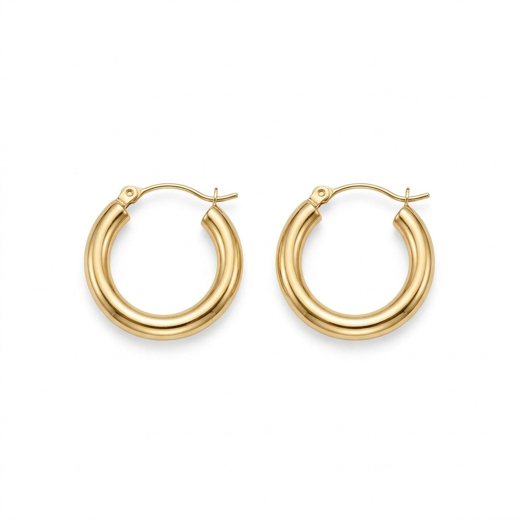 The Gold Hoop Earrings