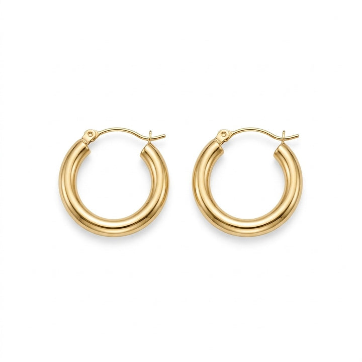 The Gold Hoop Earrings