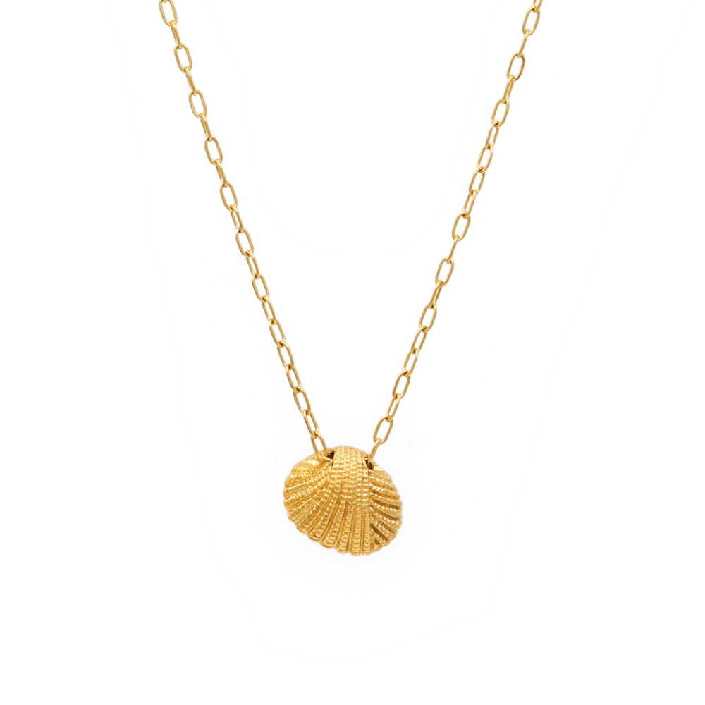 Maui Shell Necklace