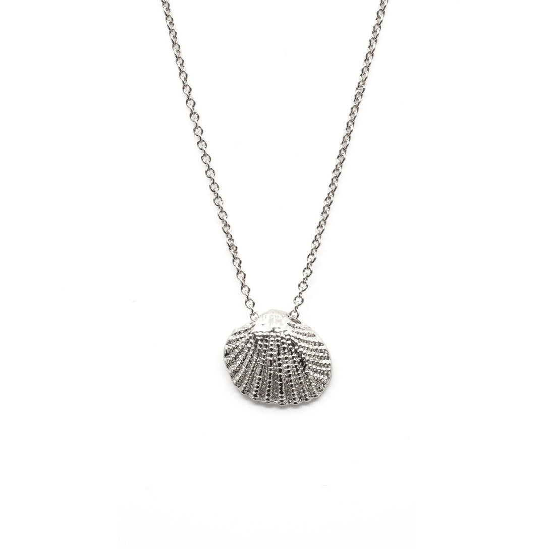 Maui Shell Necklace
