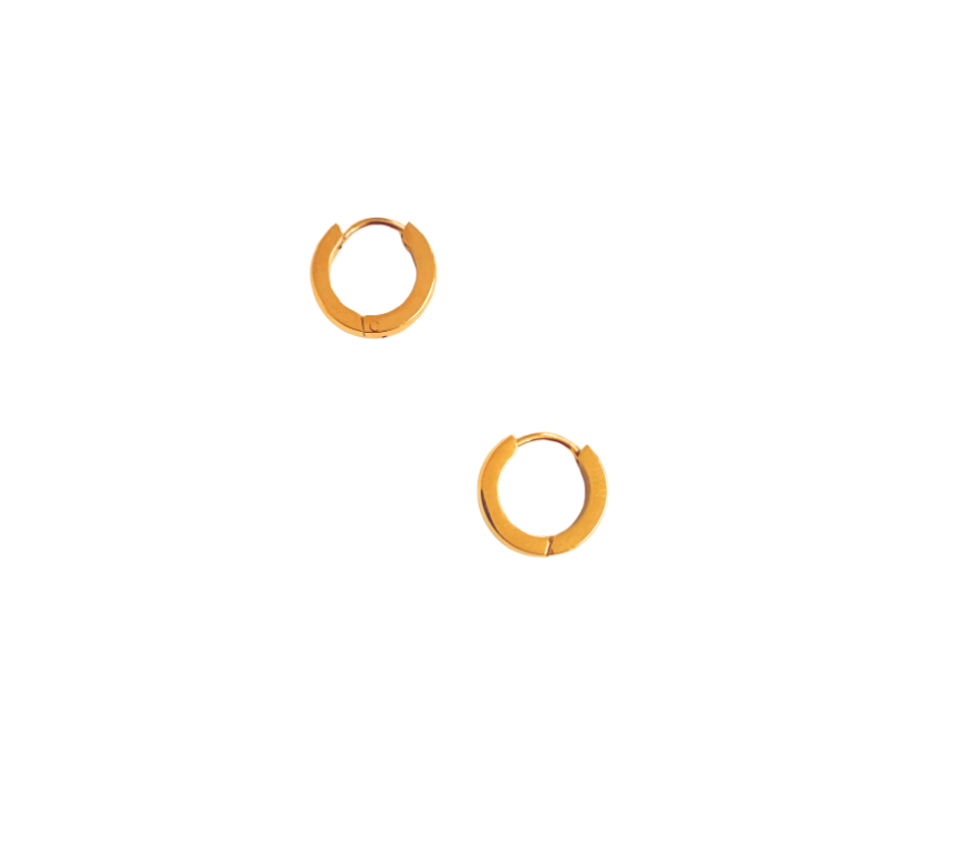 The Tiny Hoop Earrings